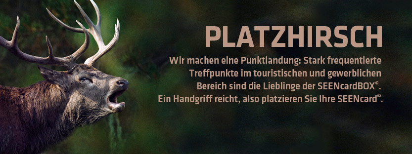 Platzhirsch